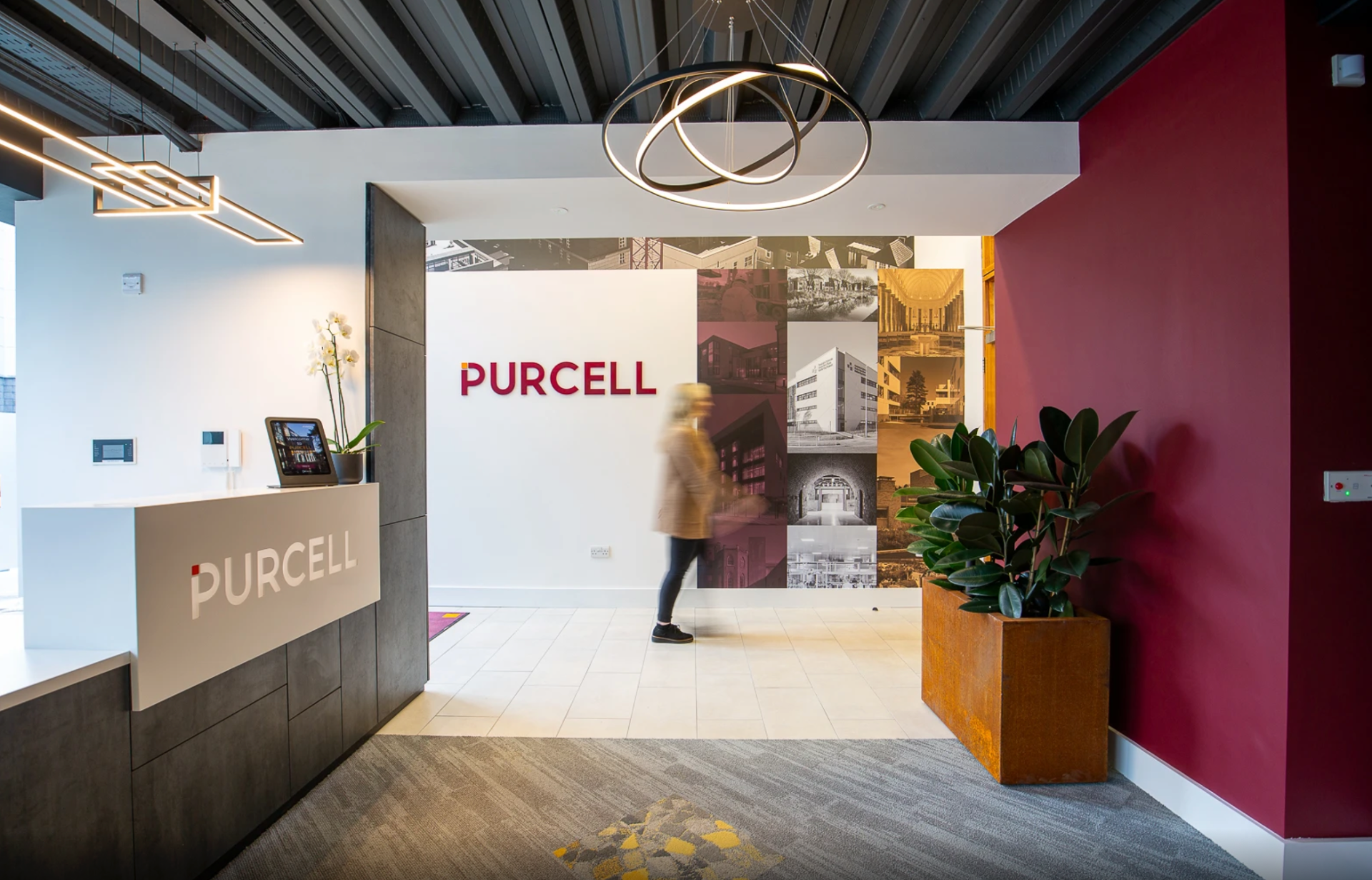 Modern office reception with PURCELL logo, pendant ring lights, wall collage, and potted plant.